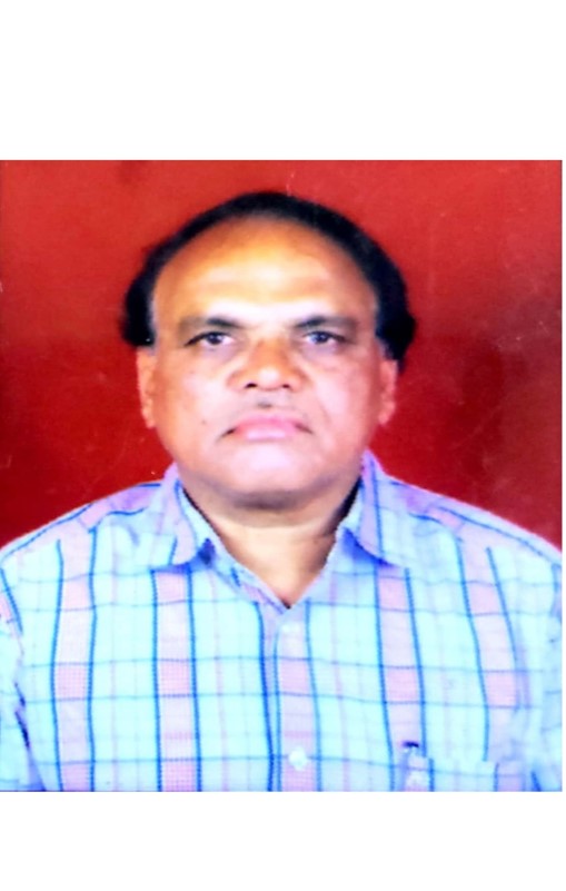 Shri Shrikant Vinayak Kondolikar ,<br> Director